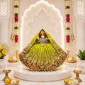 Meenakshiraj Mata Rani Dress