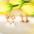Ruhika Divine Pearl Earrings Set (Pack of 2)