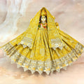 Swarnaangi Mata Rani Dress